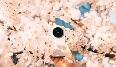 Dłoń trzyma smartfon Vivo wśród kwitnących gałęzi wiśni.